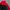 THE NORHT FACE HYVENT MP3 photo 6