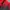THE NORHT FACE HYVENT MP3 photo 7