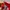 Vintage Calgary Flames American Needle Red photo 2