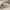 Nike Streetwear Sneakers Pria cream brown photo 2