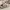 Nike Streetwear Sneakers Pria Cream Brown