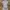 H&M Casual Bodycon Dress Wanita Multicolor