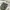 Kaos BODY GLOVE 1953 Camo photo 2