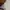 Tory Burch - lee radziwill petite satchel  photo 5