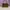 Tory Burch - lee radziwill petite satchel  photo 1