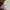 Tory Burch - lee radziwill petite satchel  photo 4