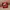 natural garnet pyrope no heat 2pc photo 3