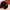 Natural smoky quart besar photo 1