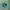Natural apatite no heat batu kristal photo 3