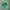 Natural apatite no heat batu kristal photo 1