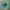 Natural apatite no heat batu kristal photo 5