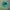 Natural apatite no heat batu kristal photo 7