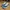 Nike Waffle Trainer 2 Hyper Royal Blue Size 43 photo 6
