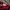 Red Chilli Ropehat  photo 7