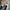 Adidas Busenitz RX Lace Up photo 5
