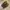 Dr. Martens Tevin Loafers Brown Round Toe photo 2