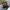 Prelove Bottega Veneta Sunglasses photo 1