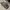 Dr. Martens Brett 4 Eye Shoes Size 45 photo 8