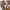 Trivium Leather Shoulder Bag photo 6