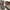DE MERIEL Classic Tan-Brown Medium Shoulder Bag photo 8