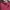 Maroon Knit Top photo 3