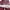 A.P.C SAC Burgundy Shoulder Bag Burgundy photo 7
