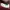 A.P.C SAC Burgundy Shoulder Bag Burgundy photo 5