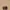 OSOI Pecan Mini Brot Choco Brown Shoulder Bag photo 2