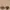 OSOI Pecan Mini Brot Choco Brown Shoulder Bag photo 3