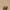 OSOI Pecan Mini Brot Choco Brown Shoulder Bag photo 1