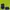 The North Face Multi-compartment Small Shoulder Bag photo 5