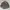 Soft Machine Double Pocket / Harley Davidson Style photo 1