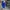 Rok by Haiclo biru photo 1