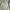 Sweather crewneck Ch4m Big Logo Gray Authentic  photo 3