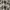 Japanese brand Avant Garde Blazer Wanita multicolor photo 8