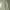 Global Work Streetwear Casual Casual pants Pria green photo 6