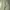 Global Work Streetwear Casual Casual Pants Pria Green