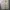 Japanese brand Streetwear Casual Casual pants Pria tan brown photo 7
