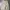 Japanese brand Streetwear Casual Casual pants Pria tan brown photo 2