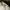Japanese brand Streetwear Casual Casual pants Pria white tan photo 4