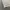 Japanese brand Streetwear Casual Casual pants Pria white tan photo 8