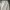 niko and ... Streetwear Casual Casual pants Pria white tan photo 6