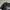 Longsleeve Converse All Star Double Layered photo 4
