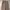 OOTJ Streetwear Casual Casual pants Pria brown photo 7