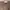OOTJ Streetwear Casual Casual pants Pria brown photo 5
