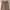 OOTJ Streetwear Casual Casual pants Pria brown photo 3