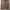 OOTJ Streetwear Casual Casual pants Pria brown photo 4