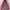 Vaude outdoor jacket photo 3