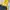 Sportswear Windbreaker Pria Yellow Navy