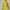 Sportswear Windbreaker Pria yellow navy photo 3